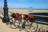 Paws and Reflect: Park Slope Welcomes Portable Potties for Pups