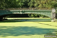 Prospect Park Undiscovered Gems