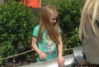 Levin Slams Proposed Heights Library Sale