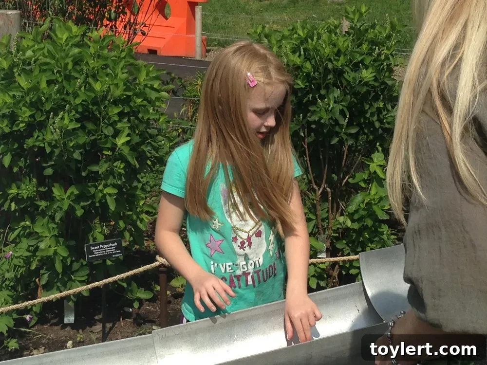Levin Slams Proposed Heights Library Sale 2 Children enjoying the Brooklyn Botanic Garden Discovery Garden
