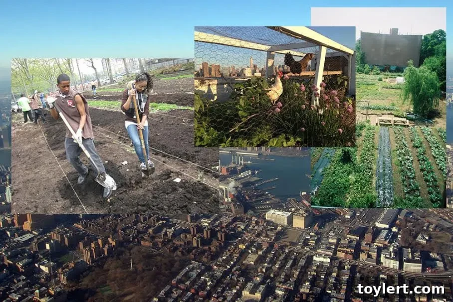 Cultivating Brooklyn: Five Urban Farms Growing More Than Food 2 Brooklyn's vibrant urban farms: a mosaic of green spaces, community gardens, and innovative agriculture thriving amidst city life.