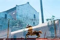 Friday Freewheel: Citi Bike Adds Miles in Brooklyn Next Month