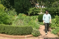 Pier 6 Hearing Unpacked: New Details Surface