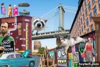 Brownstoner Rewind: Renovations, Road Safety, and Building Essentials