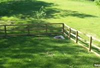 Buying Land From a Neighbor