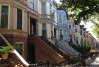 Crown Heights Co-living Sensation: More Than 150 Applications in Its Opening Week