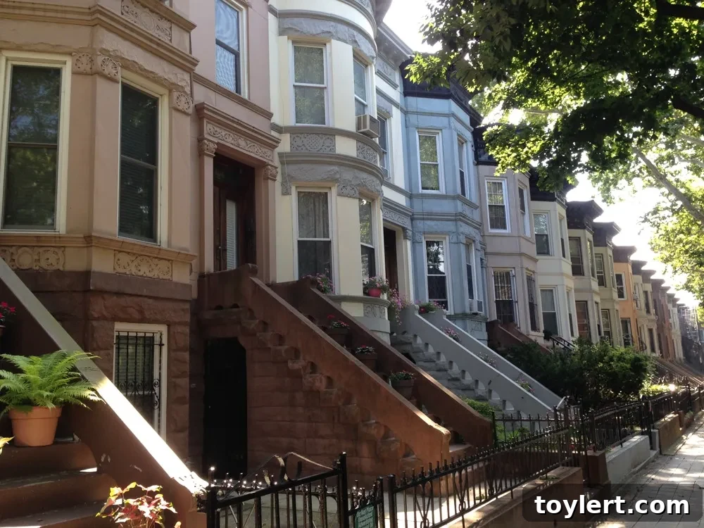 Crown Heights Co-living Sensation: More Than 150 Applications in Its Opening Week 2 crown-heights-row-stoops-072315