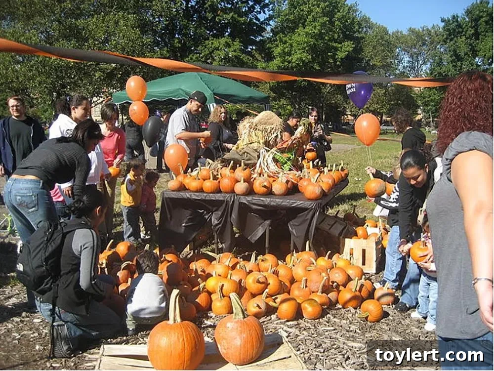 McCarren Park Pumpkin Picking This Saturday 2 McCarren Park Pumpkin Picking