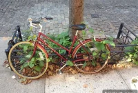 Bensonhurst and Gravesend Parks Set for Major Makeover