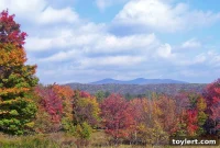 Journey Through Fall: Hudson Valley Catskills Leaf Peeping