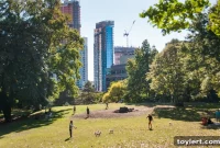 Activist Takes Repeat Plunge in Gowanus Canal