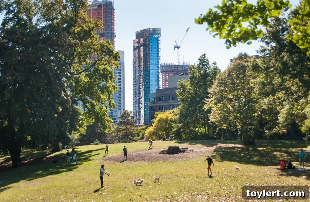 Activist Takes Repeat Plunge in Gowanus Canal 2 Fort Greene Park Brooklyn
