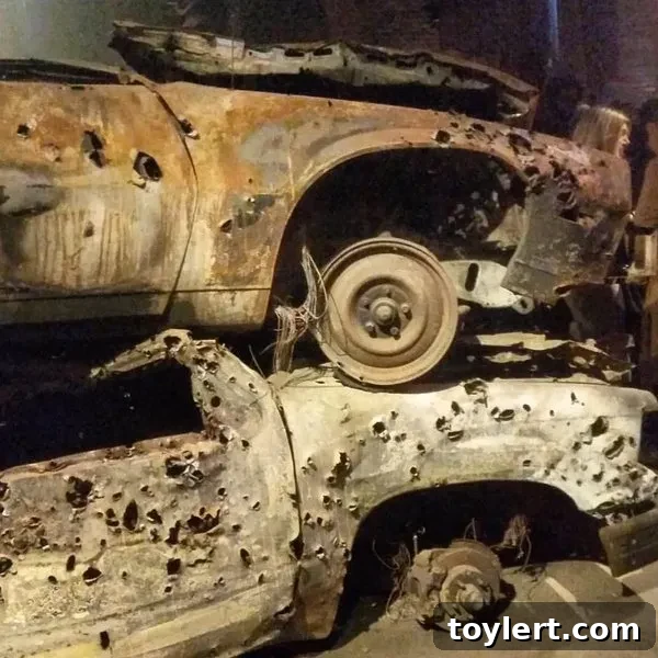 South Bronx Gentrification: A Party of Contradictions 2 Gentrification Party South Bronx New Brooklyn