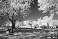 Brooklyn Beat Panda Prospects Vital Screenings