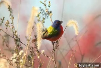 From Dough to Dazzle: Making Rainbow Bagels in Williamsburg