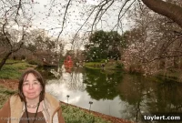 Green Therapy: A Psychotherapist-Guided Escape at Brooklyn Botanic Garden