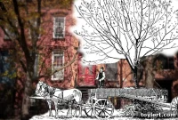 The Tree Dilemma: Should Developers Replant for Neighbors?