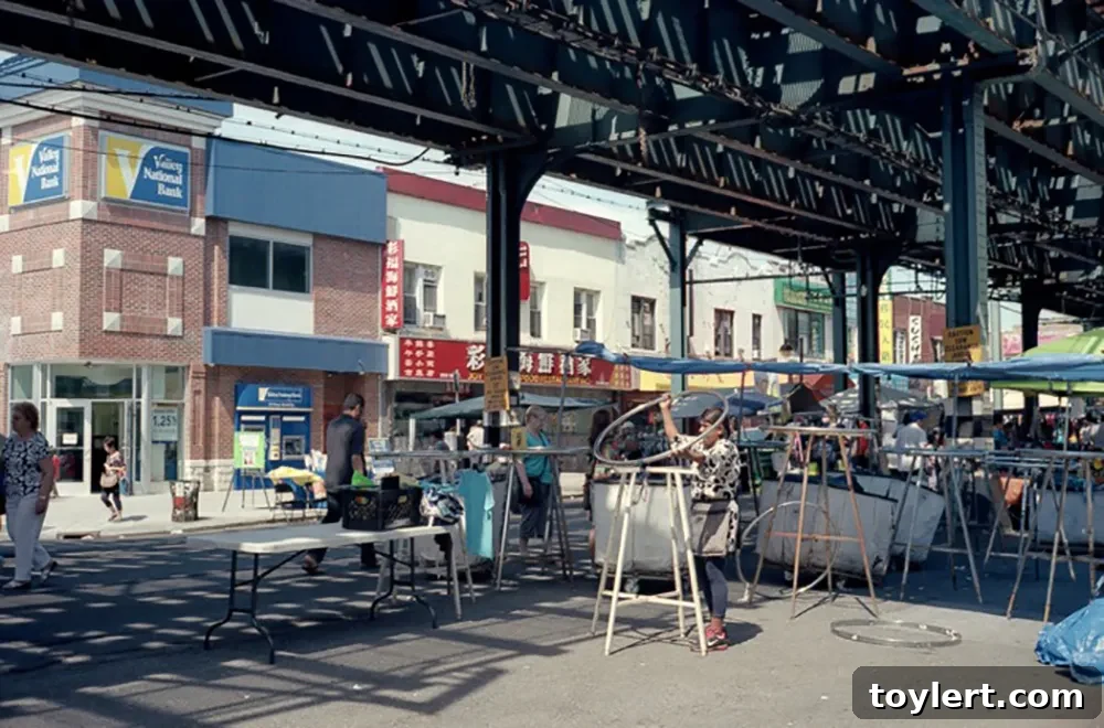 Bensonhurst's Asian Growth: Reshaping NYC Politics 2 Bensonhurst's Asian Communities