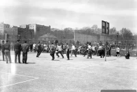 Crown Heights Where Crow Calls Met Lofty Peaks