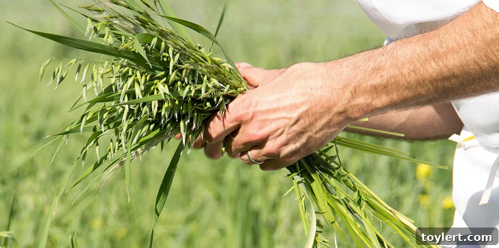 hudson-valley-farm-to-table-04