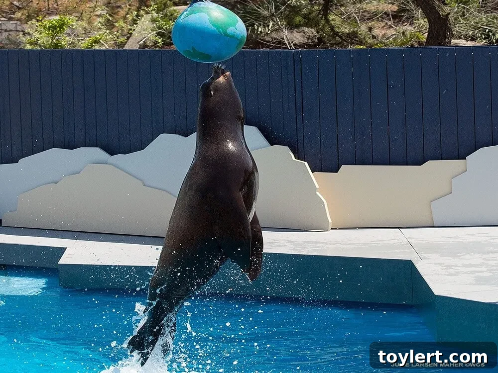 Guests enjoying Boardwalk Brews at the New York Aquarium after dark with marine exhibits