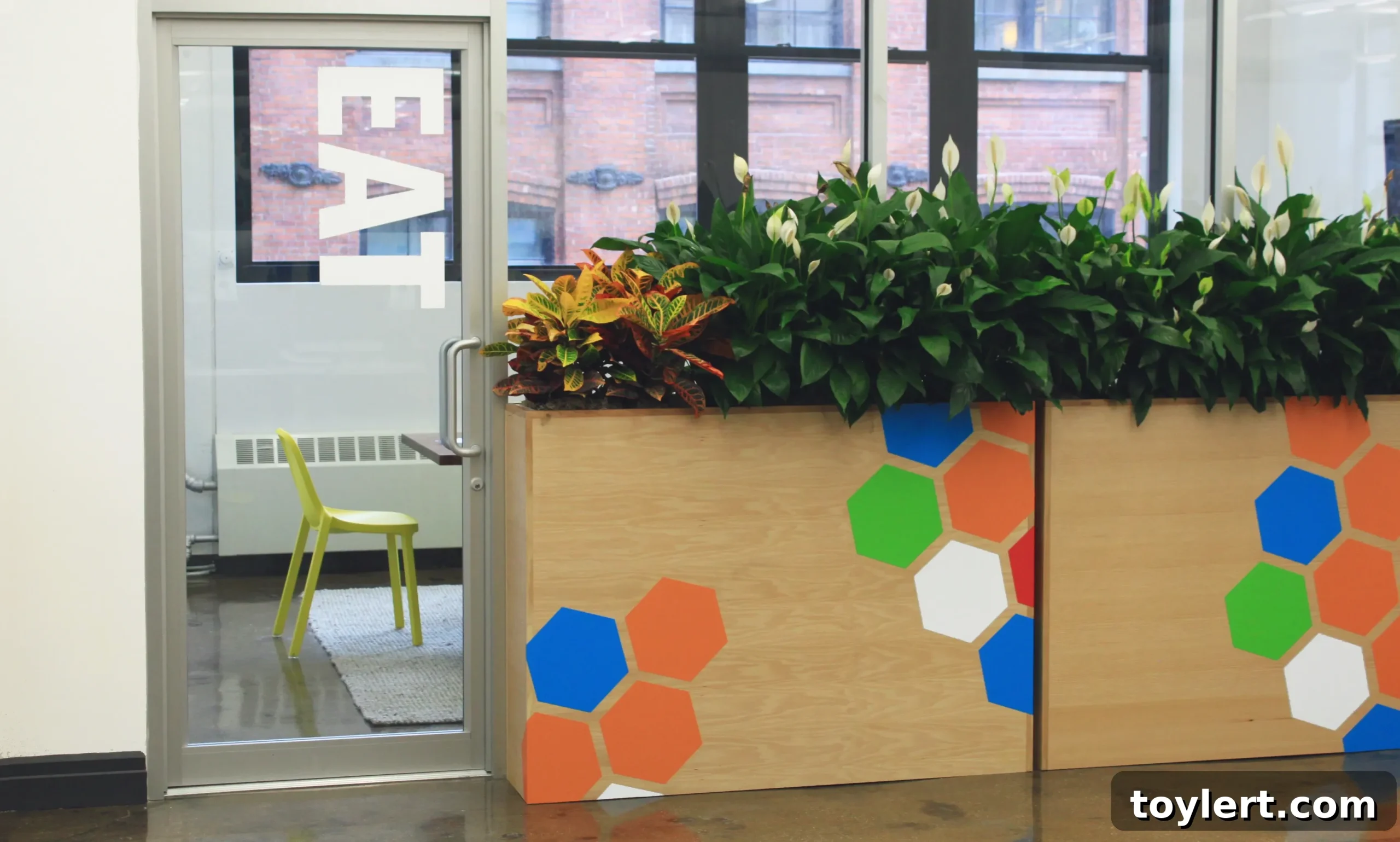 MindBodyGreen Brooklyn Office Dumbo with natural light and modern design