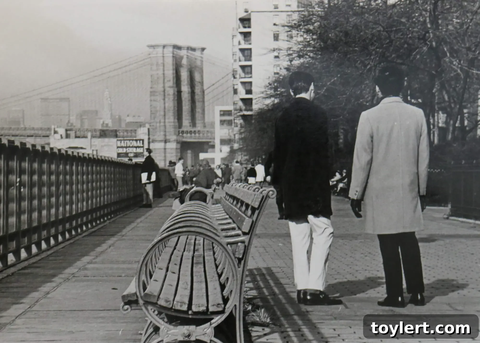 brooklyn bridge views promenade pier house brooklyn heights association