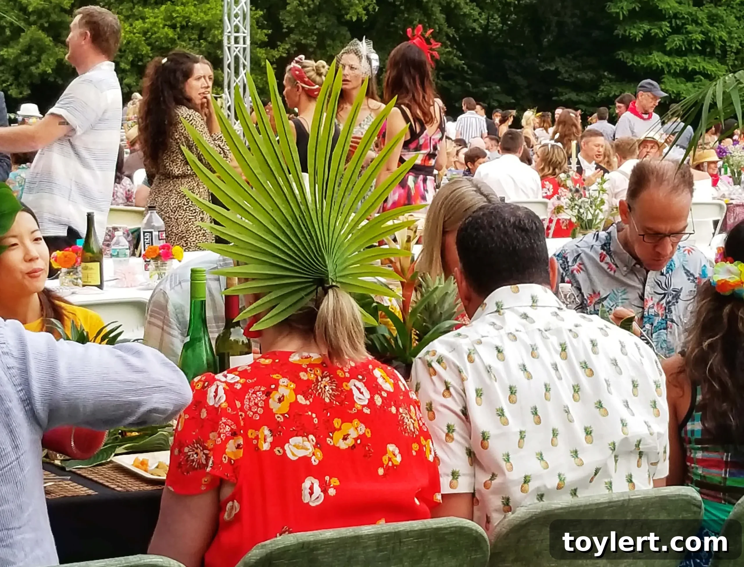 prospect park alliance