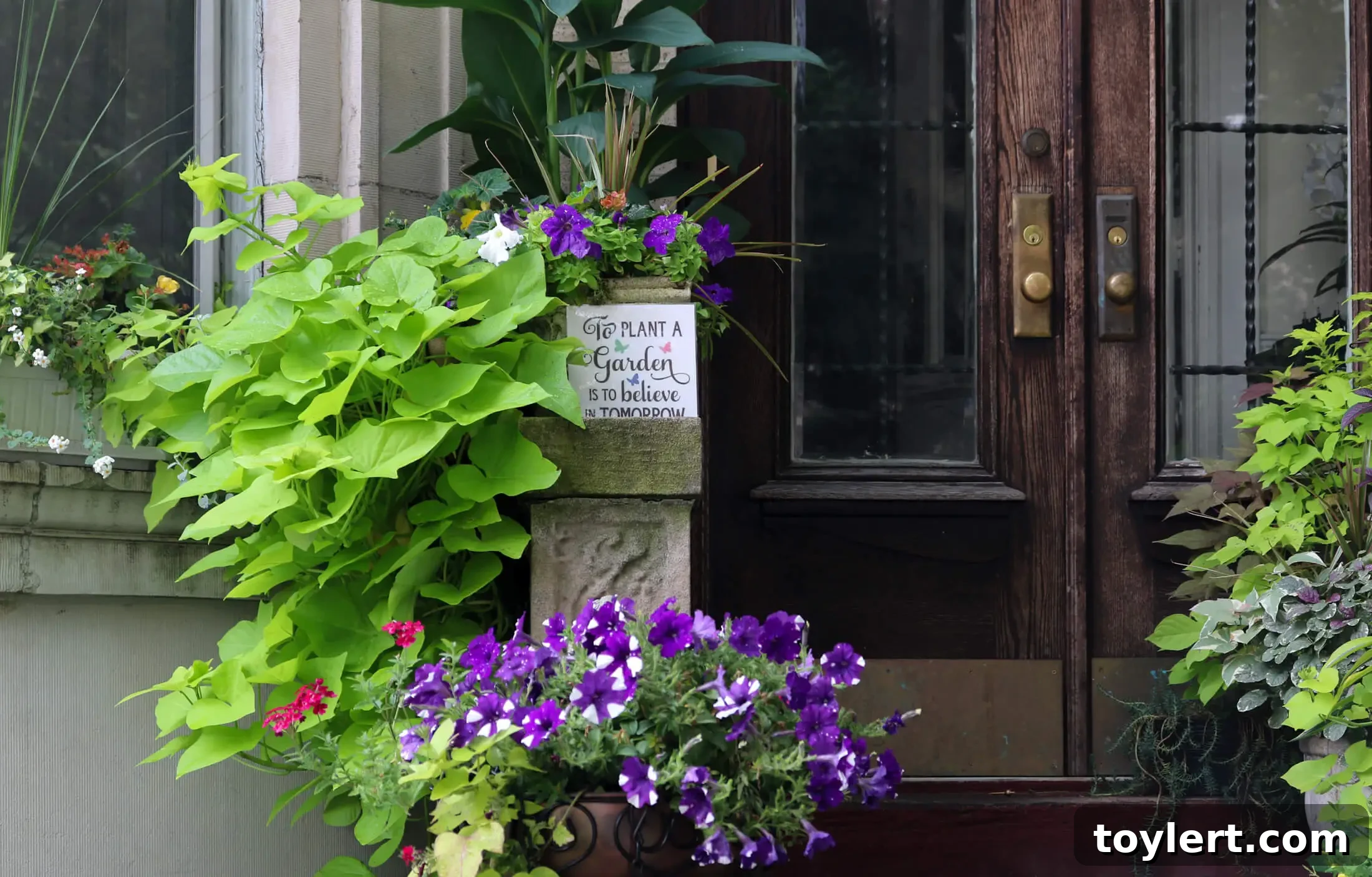flowers in prospect lefferts gardens