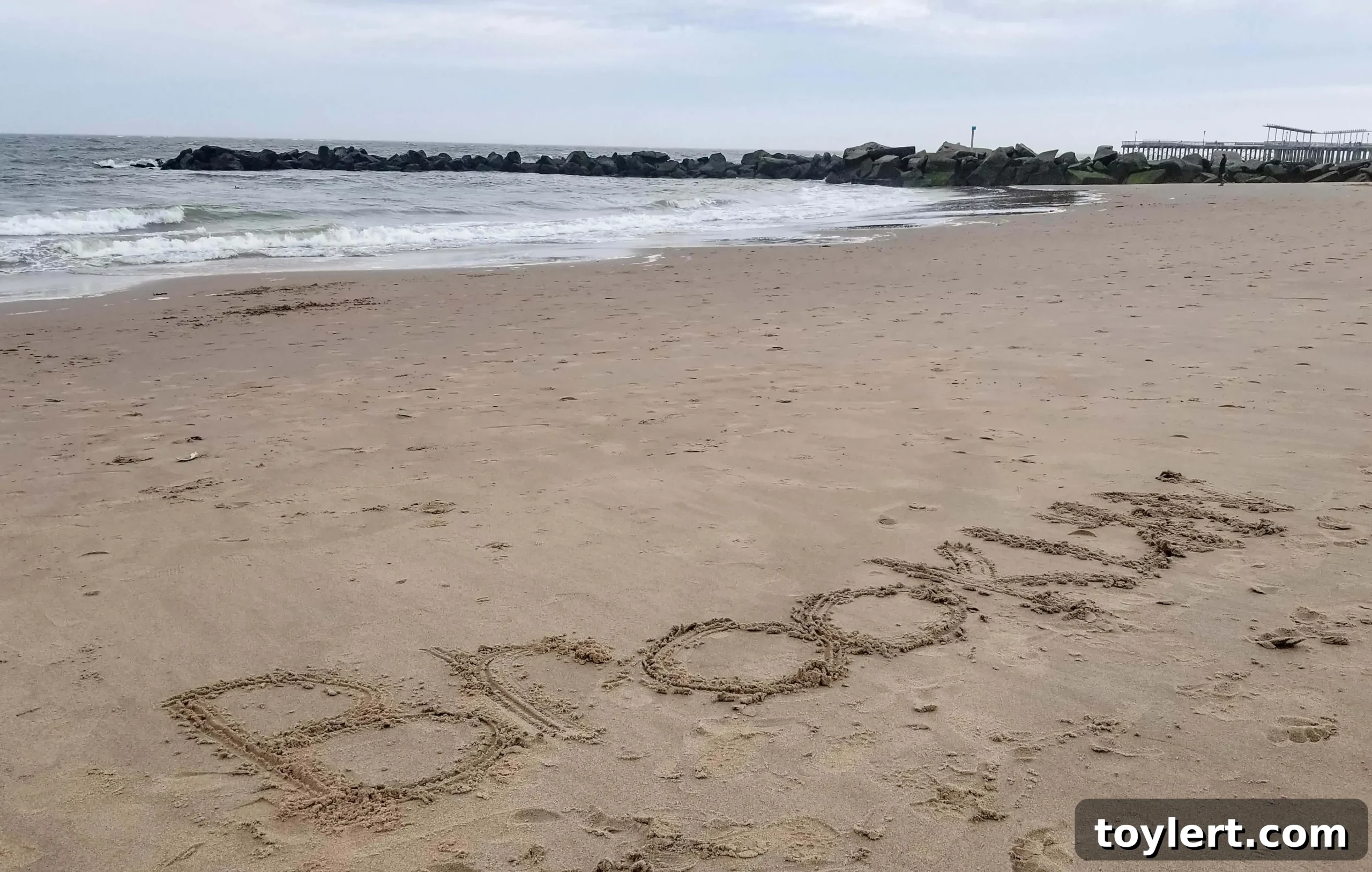 beach at coney island