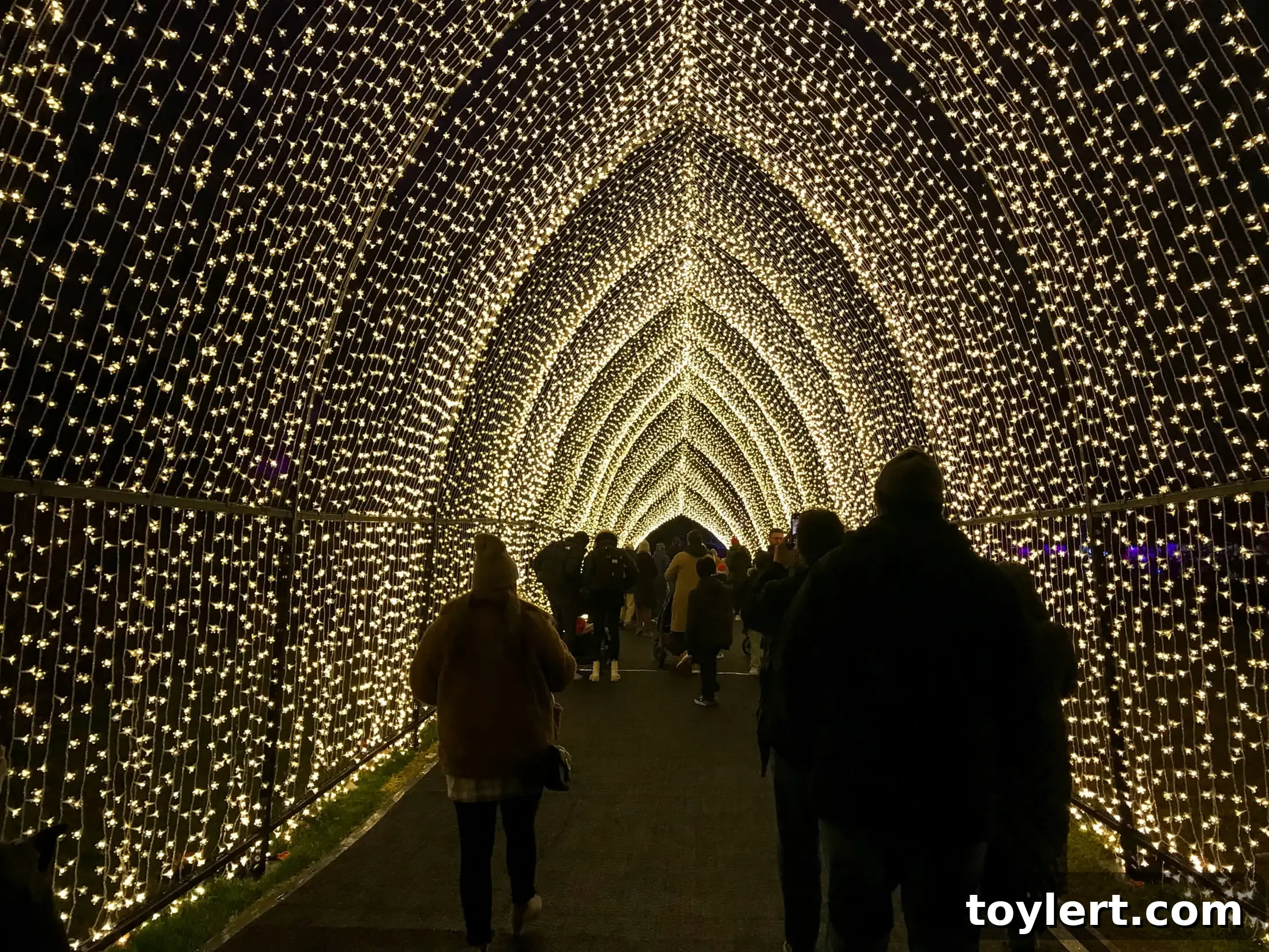 brooklyn botanic garden lightscape