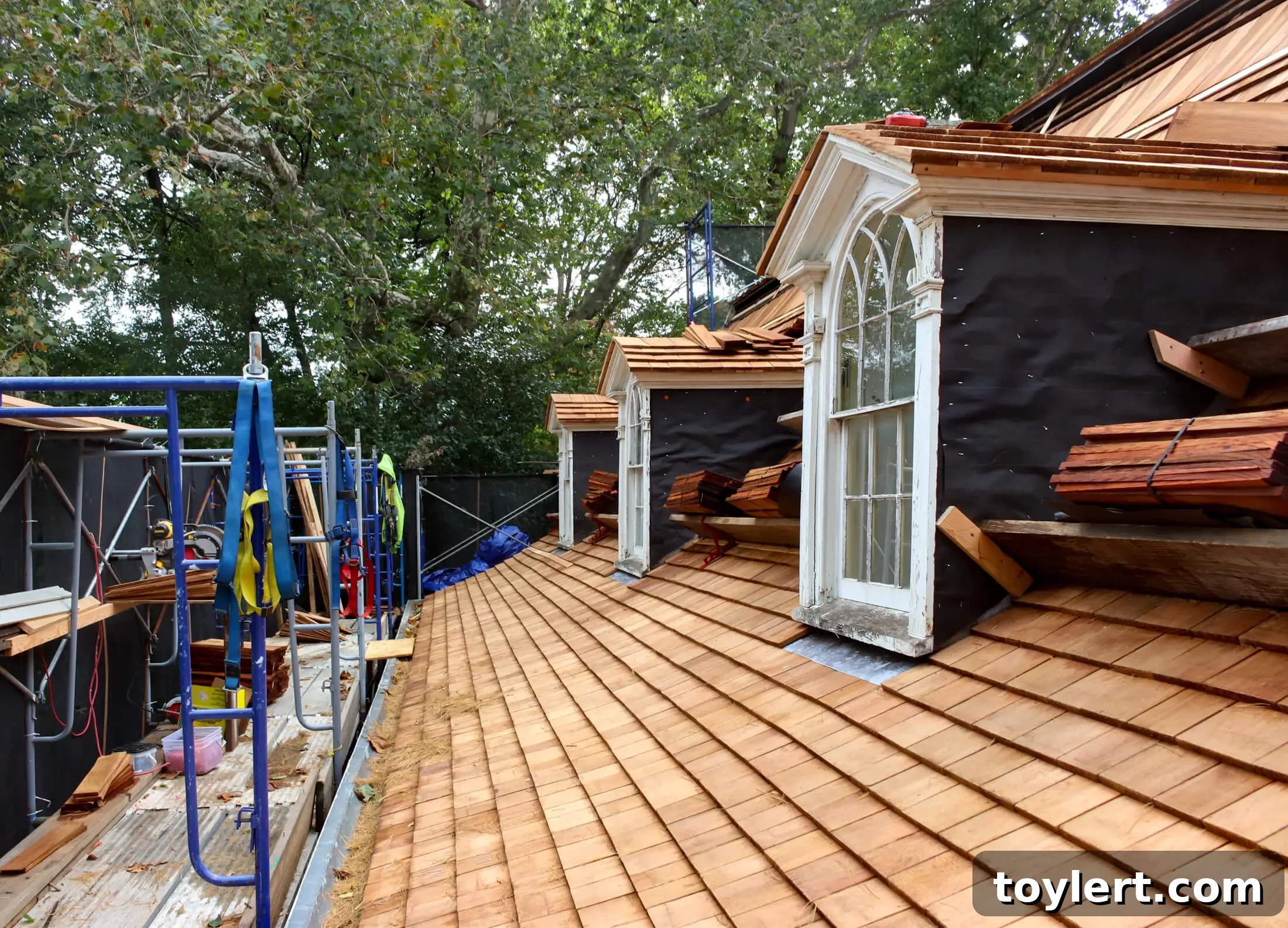 the roof of the lefferts historic house