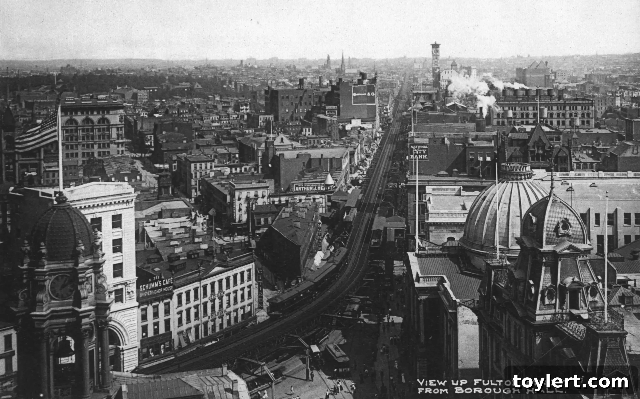 Downtown Brooklyn's Lost Retail Empires 2 black and white photo of fulton street buildings