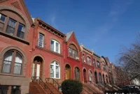 Thursday Discoveries