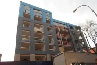 Clinton Hill Colossus Unveiled as Scaffolding Is Stripped Away