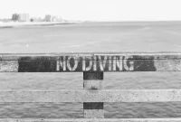 The Wednesday Wrap-Up