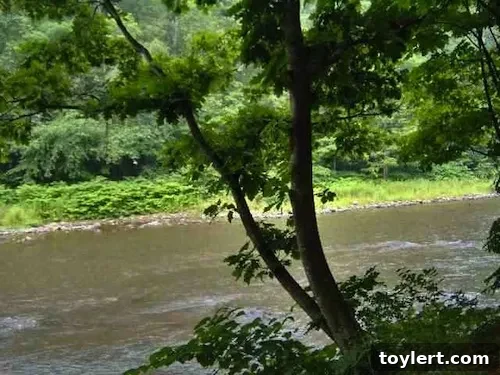 Interior view of a distressed 1960s home, showing renovation needs at 6381 Route 28, Phoenicia.