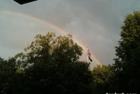 Thursday’s Web Gems