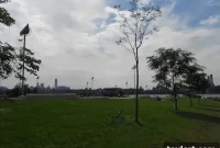 Thursday’s Top Reads