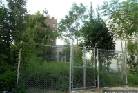 Cultivating Community: Bed Stuy Residents Plant Garden Dreams